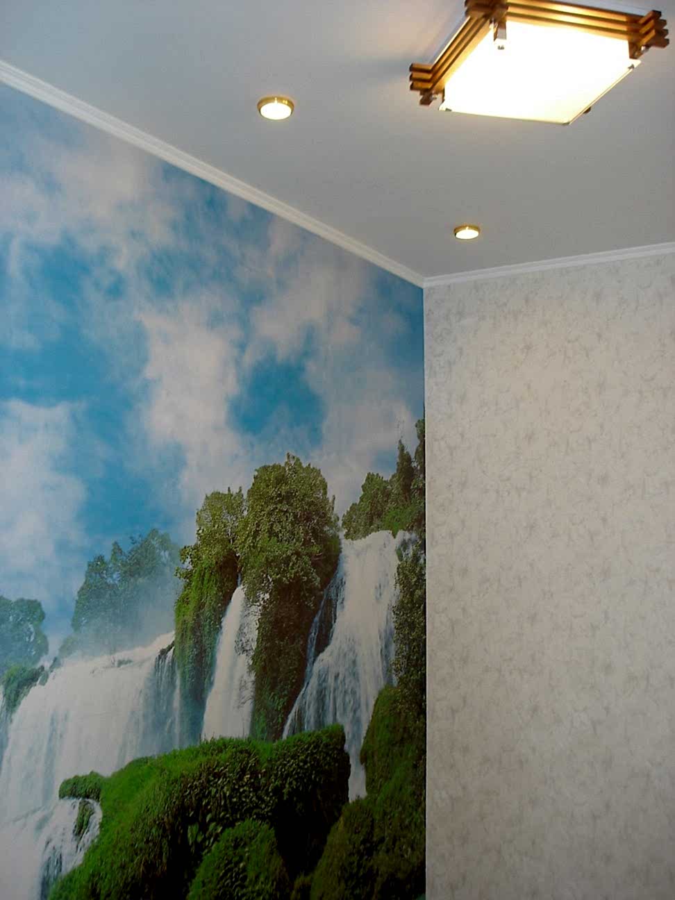 Фотообои стеклообои Люберцы